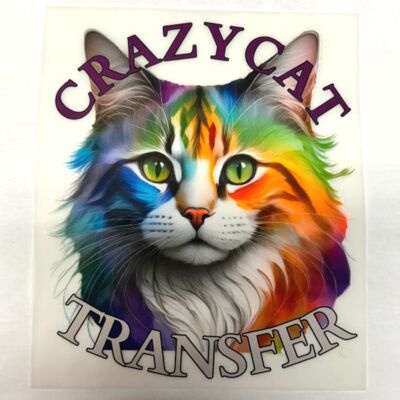 Format A3 DTF Vignette